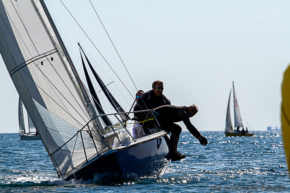 Trofeo del Timoniere